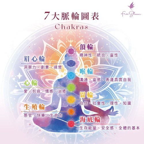 阿育吠陀暖油脈輪