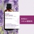 【預購】野生高地薰衣草忘憂按摩油 100ml 體驗瓶